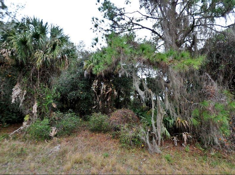 CONSTITUTION DR — photo 2