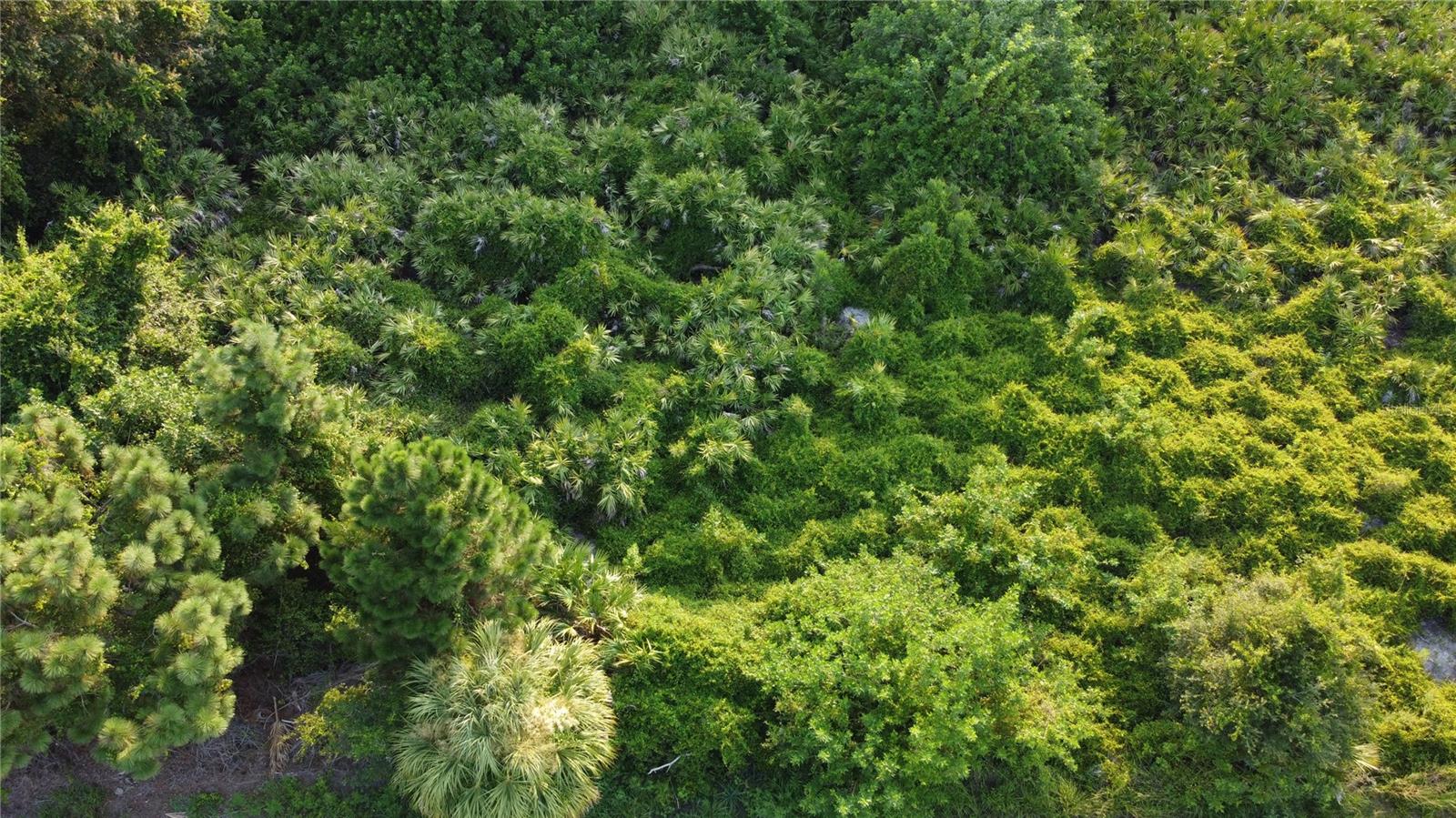 Lot 30 CLOVELON ST — photo 8