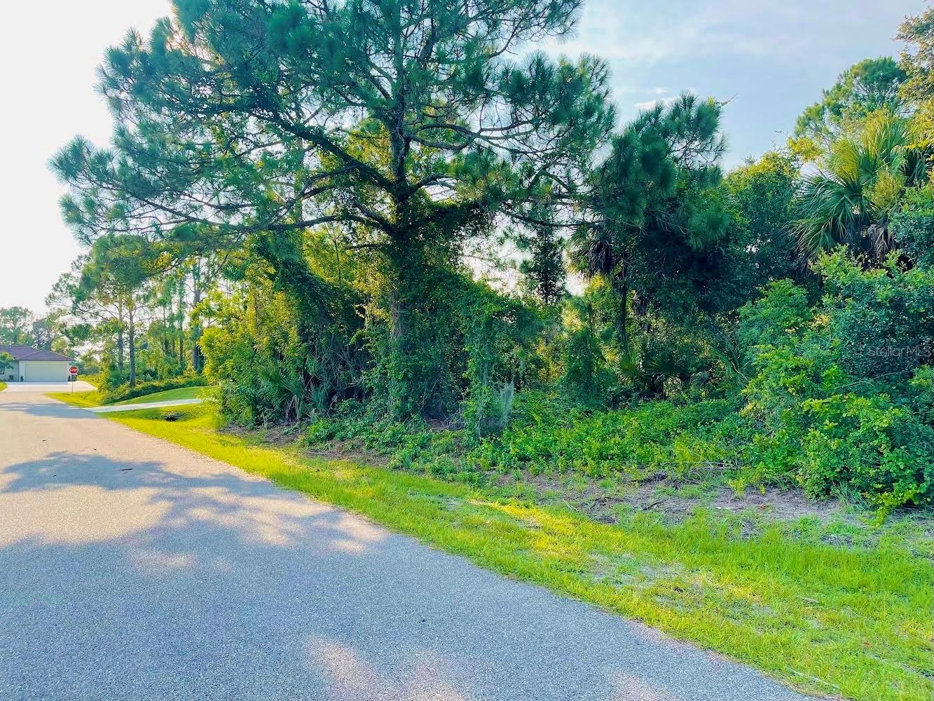 LOT 12 ATTALLA AVE — photo 10