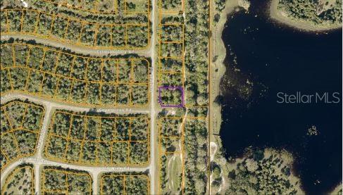 FIVELEAF RD — photo 4