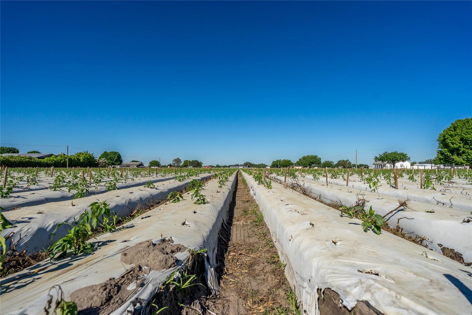 3811 OLD MULBERRY RD — photo 17