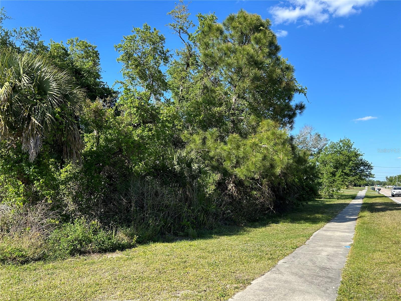 JAYLENE RD — photo 4
