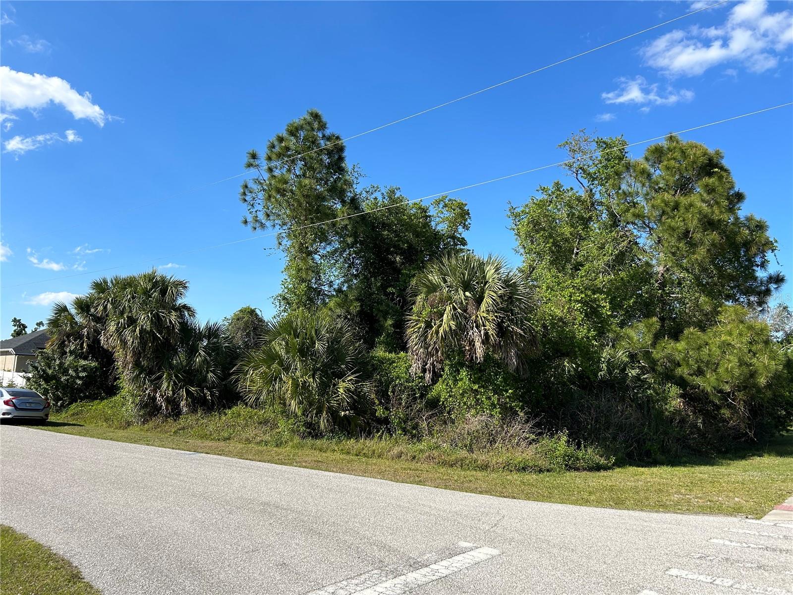 JAYLENE RD — photo 3