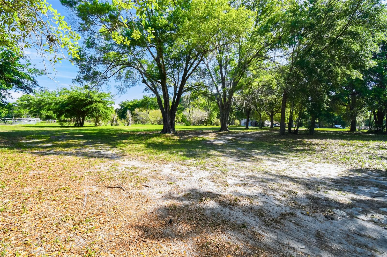 12500 HAMLIN RD — photo 13
