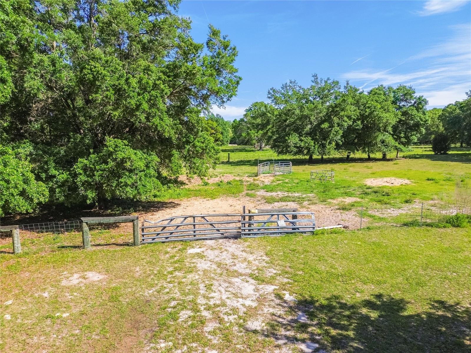 12500 HAMLIN RD — photo 38