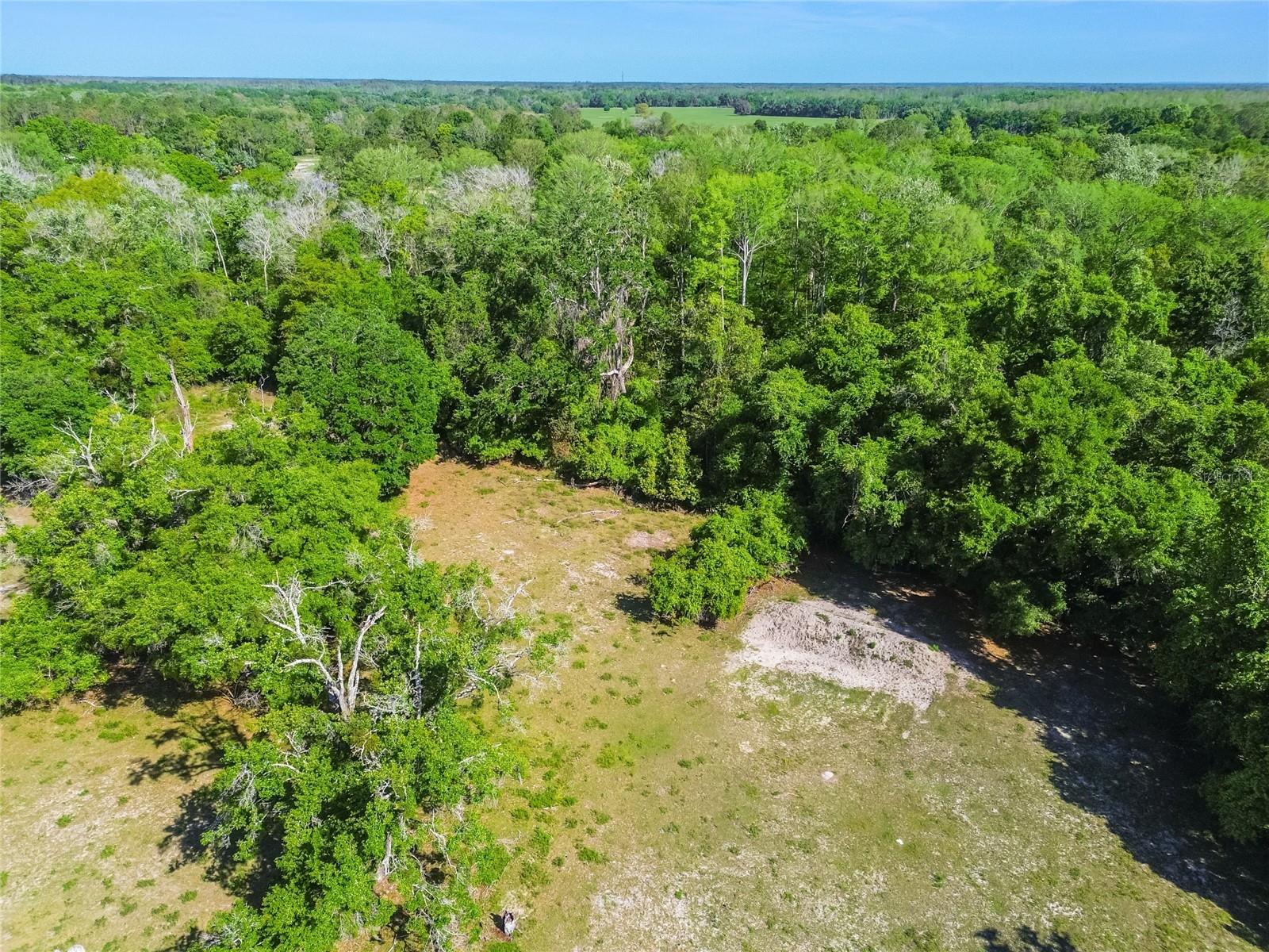 12500 HAMLIN RD — photo 21
