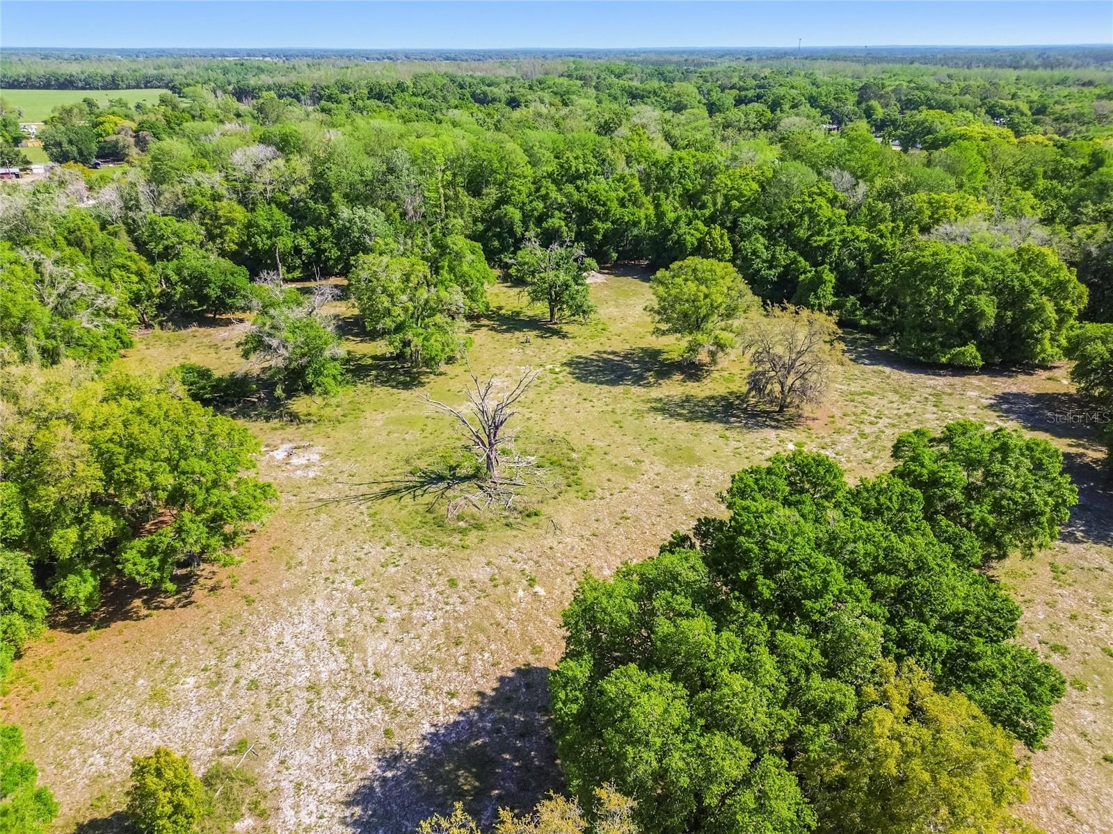 12500 HAMLIN RD — photo 32