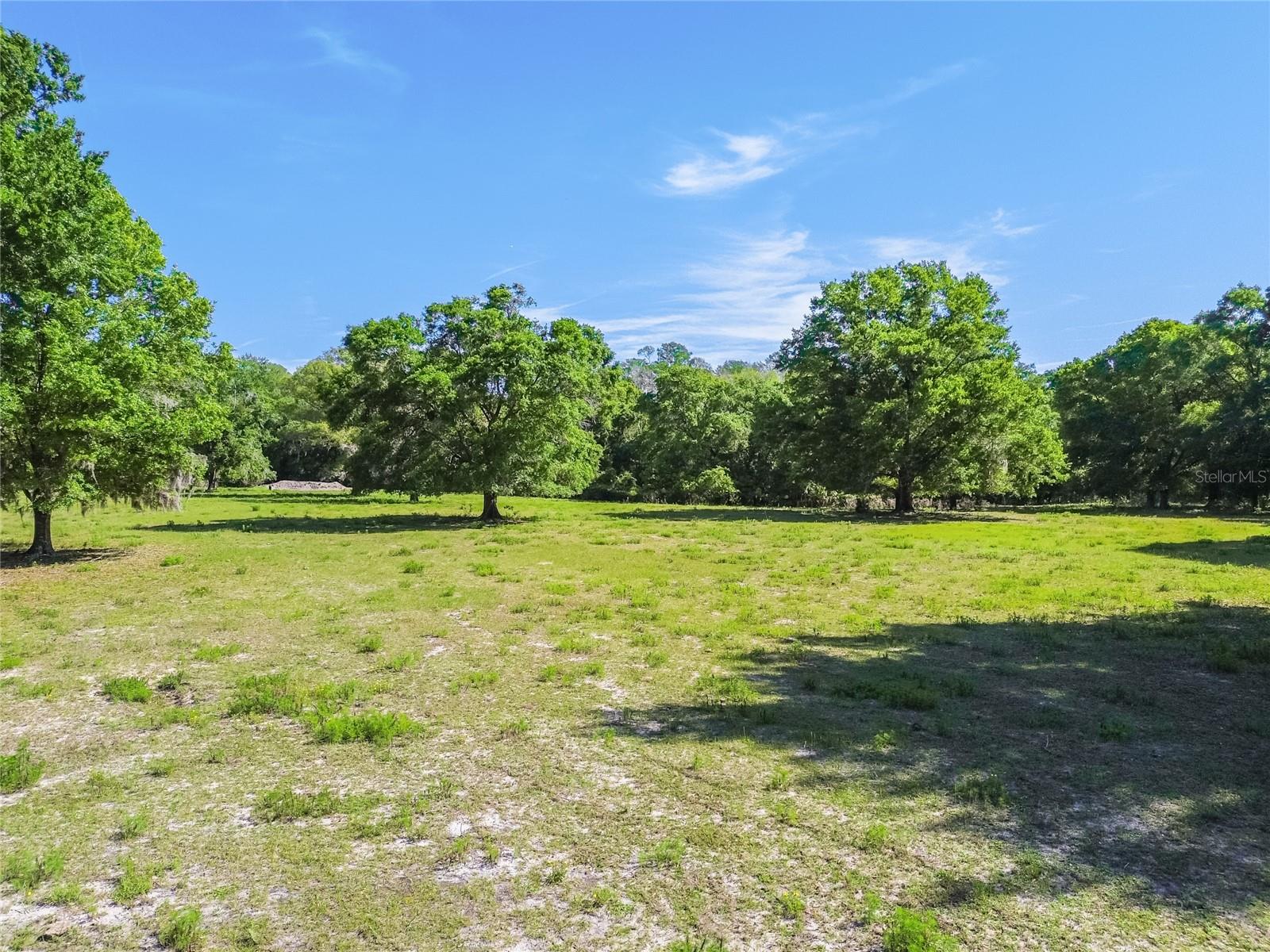 12500 HAMLIN RD — photo 19