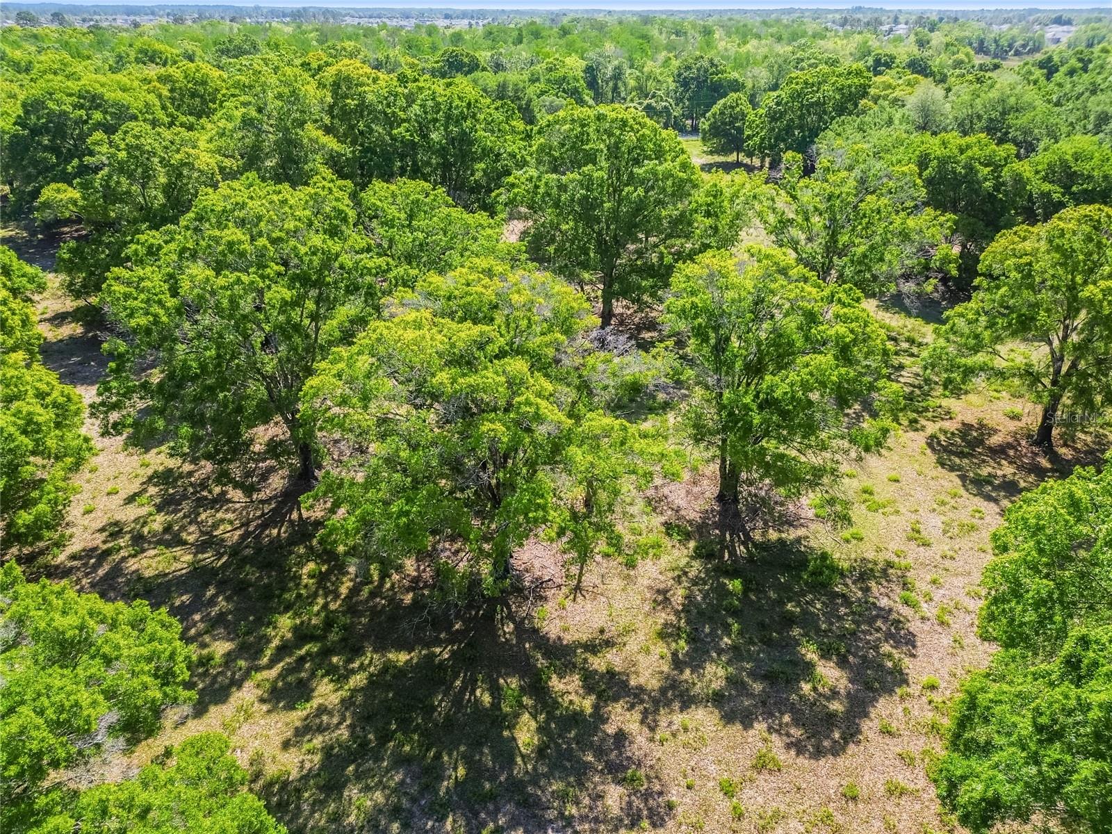12500 HAMLIN RD — photo 24