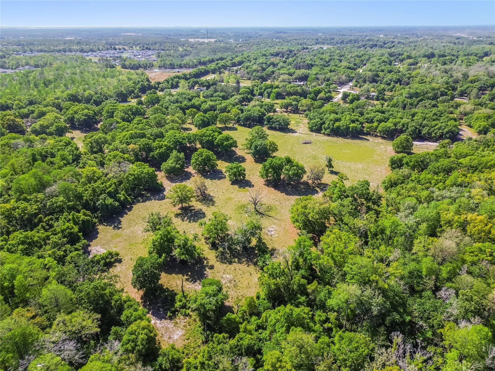 12500 HAMLIN RD — photo 47