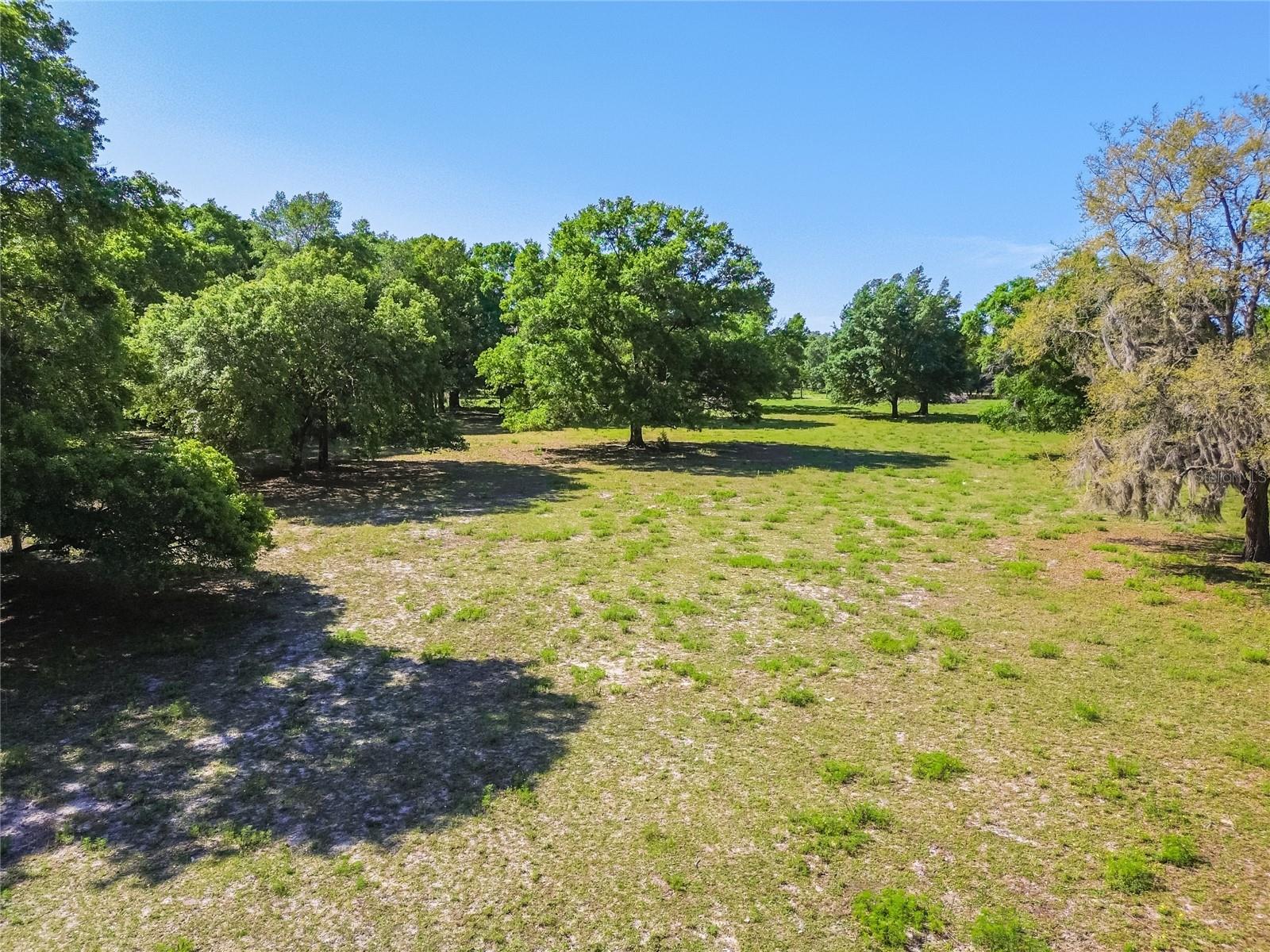 12500 HAMLIN RD — photo 22