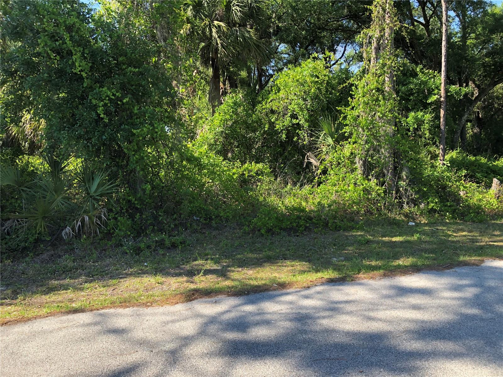 WILBURN TER — photo 2