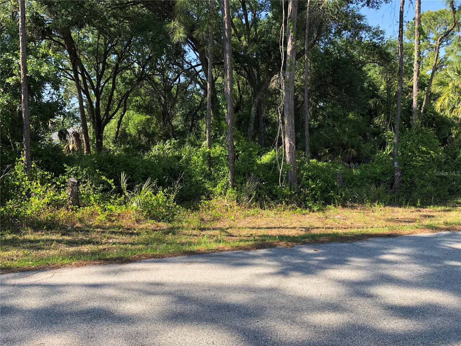 WILBURN TER — photo 4