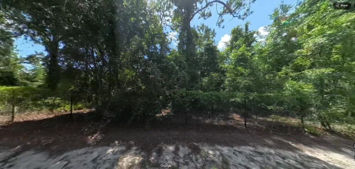 FORGE DRIVE — photo 3