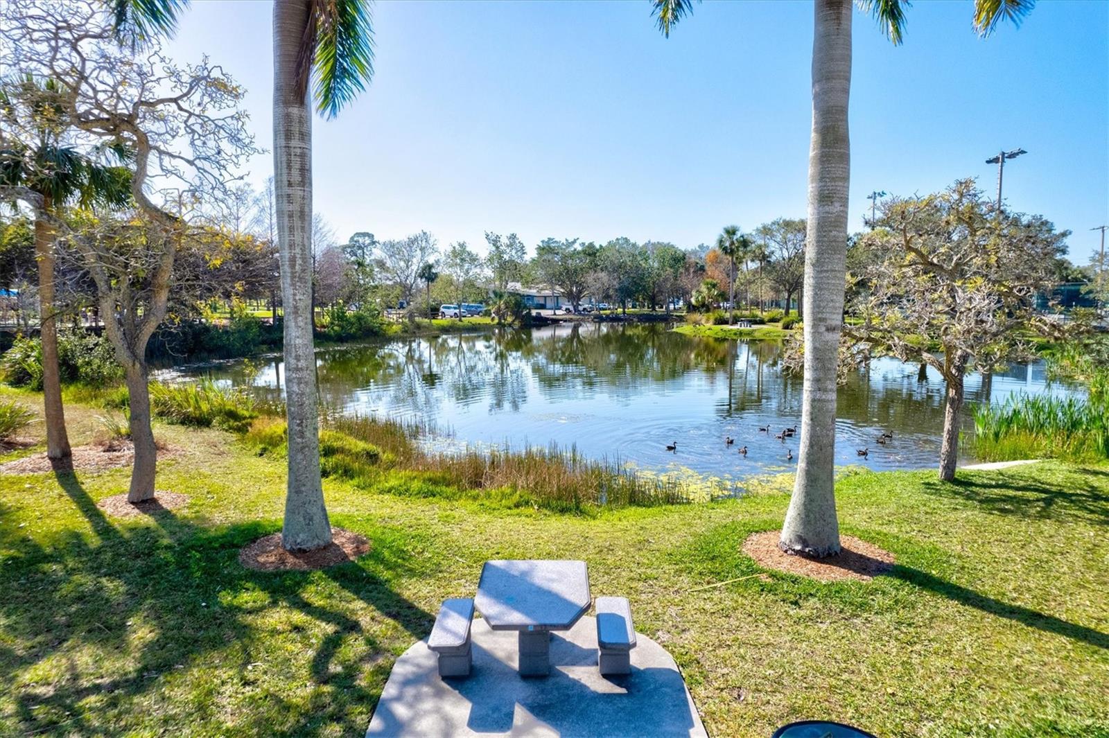 Home in SARASOTA — photo 79