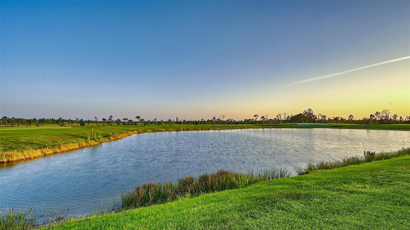 12453 WELLEN GOLF ST — photo 51