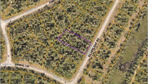 SILVERLEAF RD — photo 5
