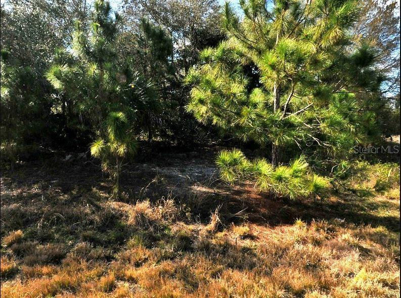 HOPE CT — photo 2