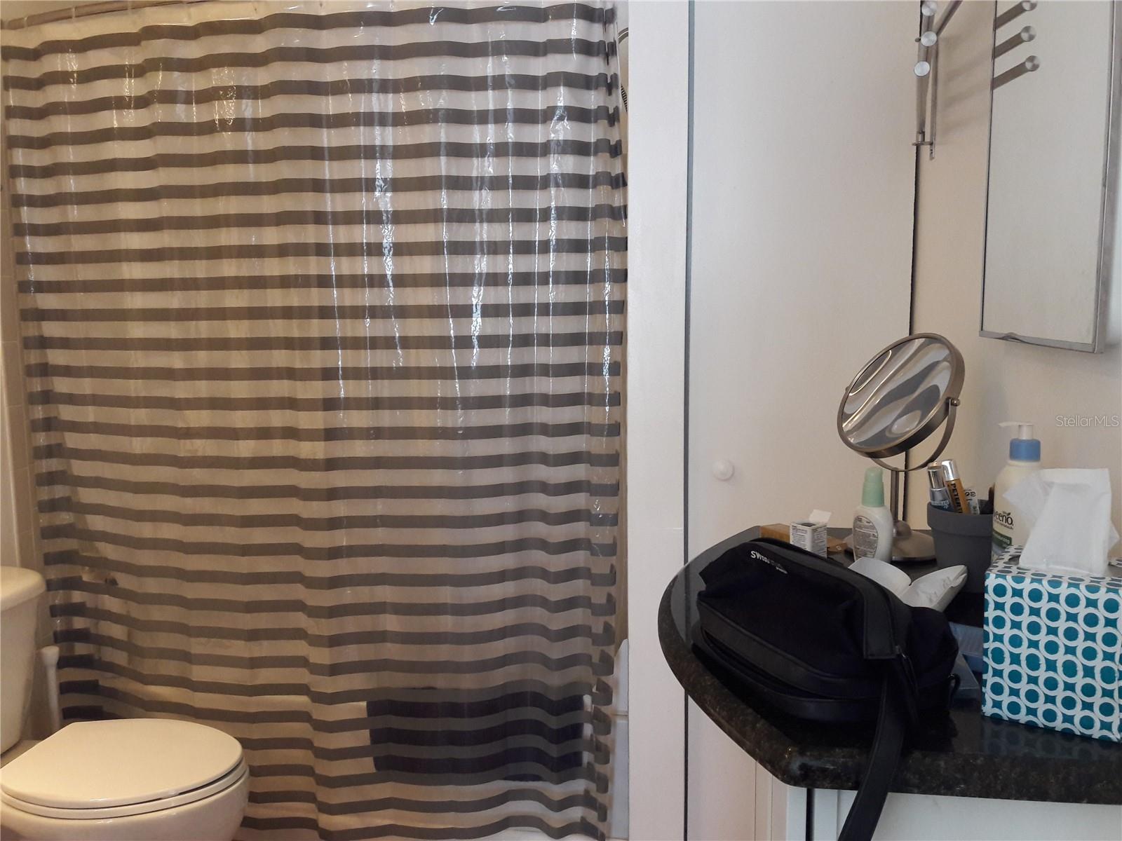 101 LAKE AVE NE #222 — photo 49