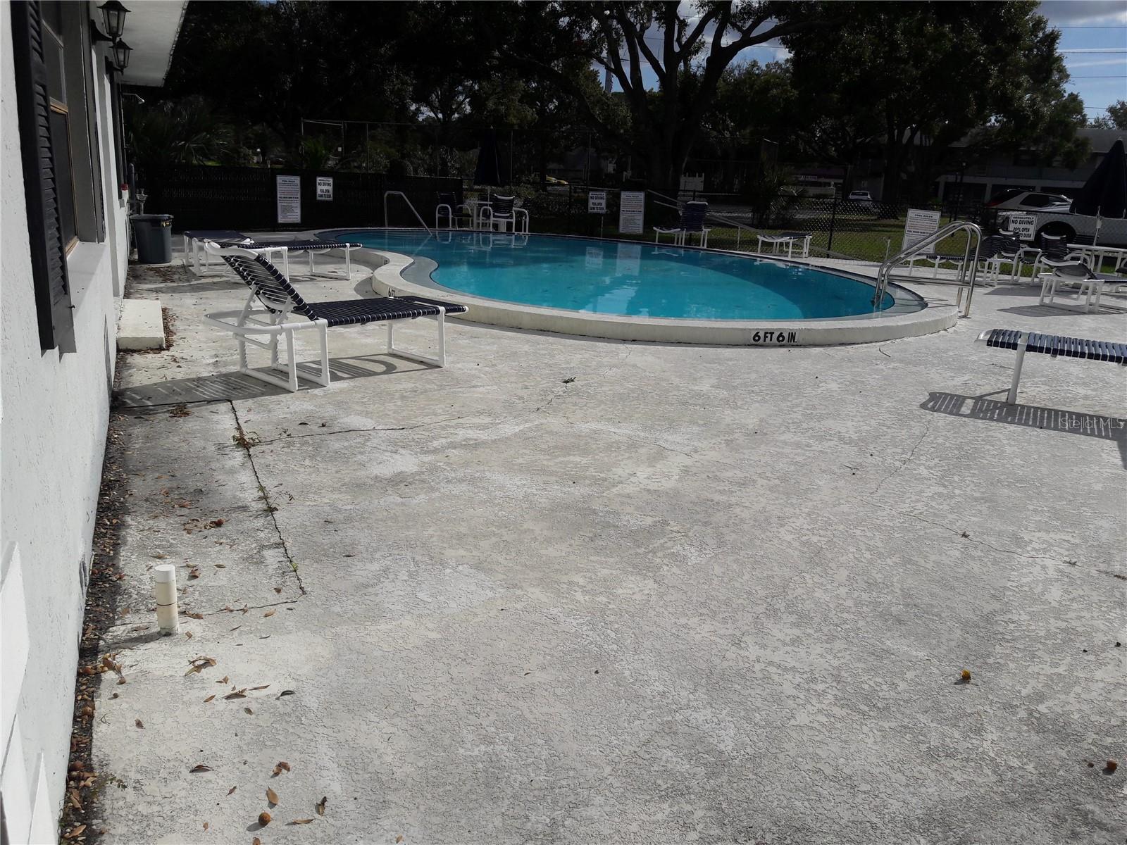 101 LAKE AVE NE #222 — photo 44