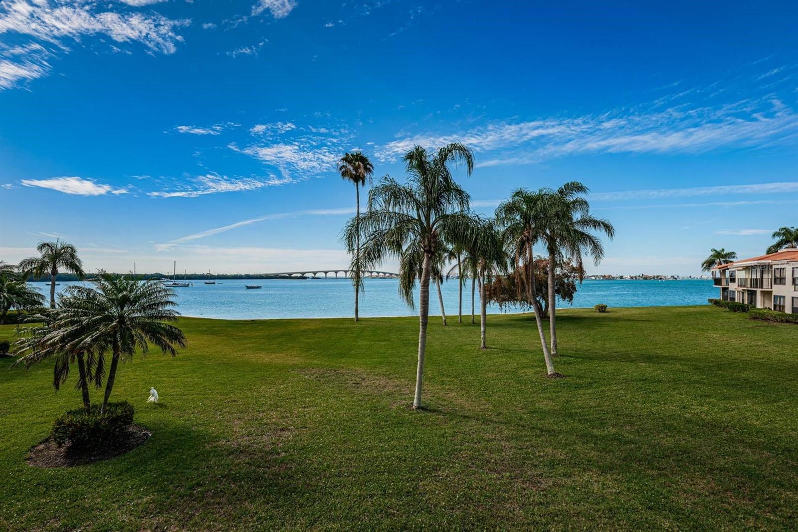 6295 BAHIA DEL MAR CIR #216 — photo 19