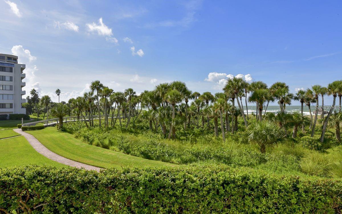 1465 GULF OF MEXICO DR #504 — photo 44