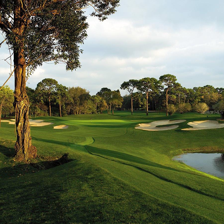 36750 US HIGHWAY 19 N #22208 — photo 67