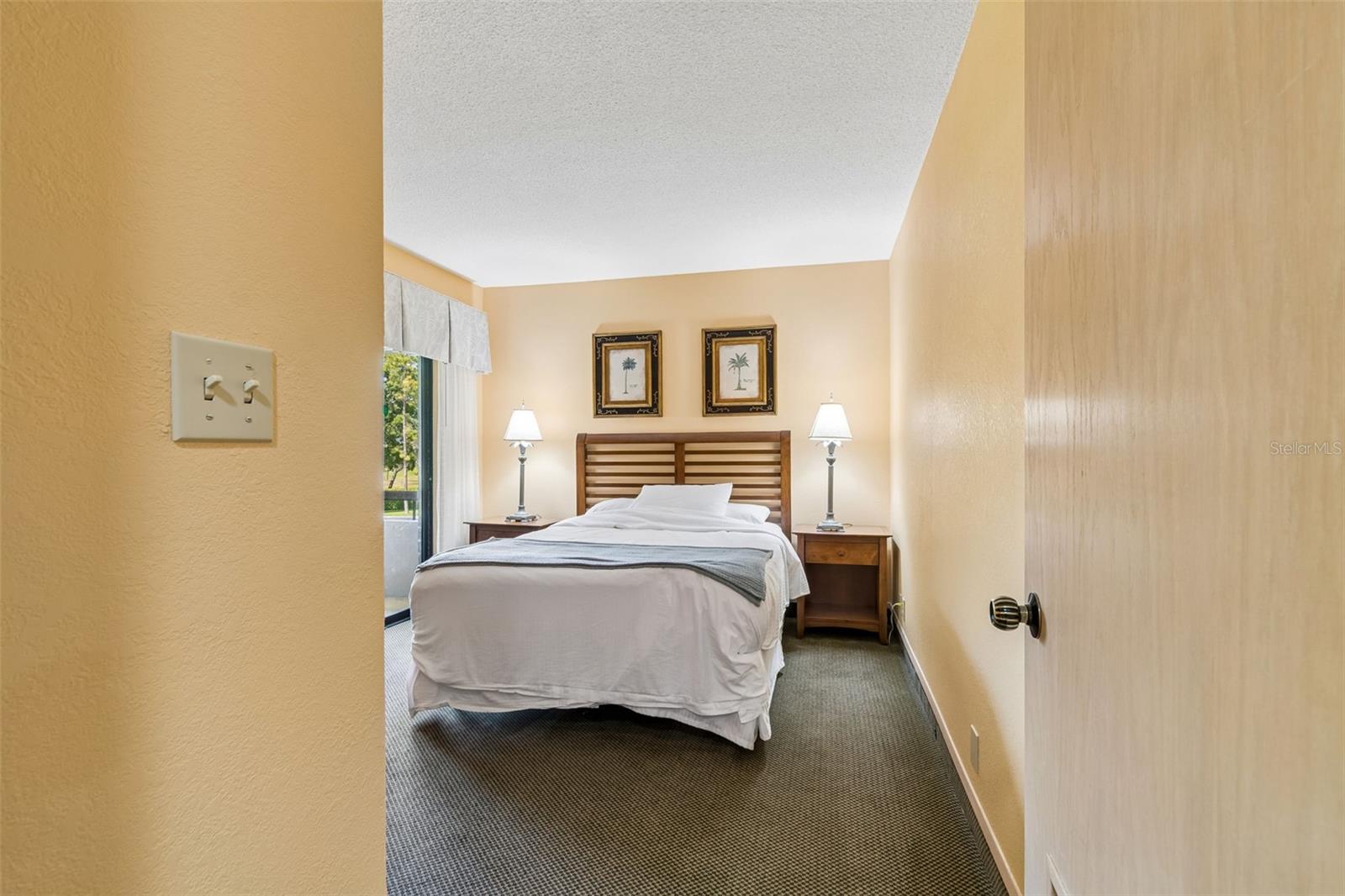 36750 US HIGHWAY 19 N #22208 — photo 25