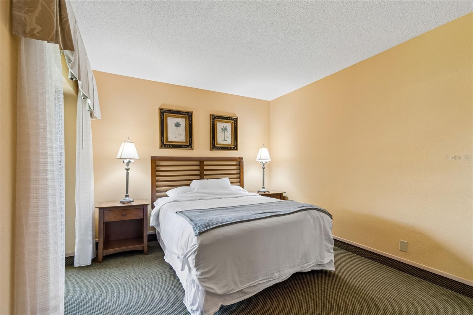 36750 US HIGHWAY 19 N #22208 — photo 28