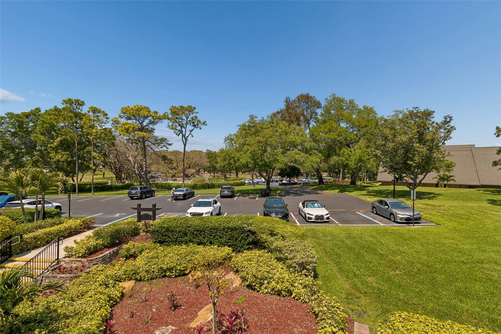 36750 US HIGHWAY 19 N #22208 — photo 44