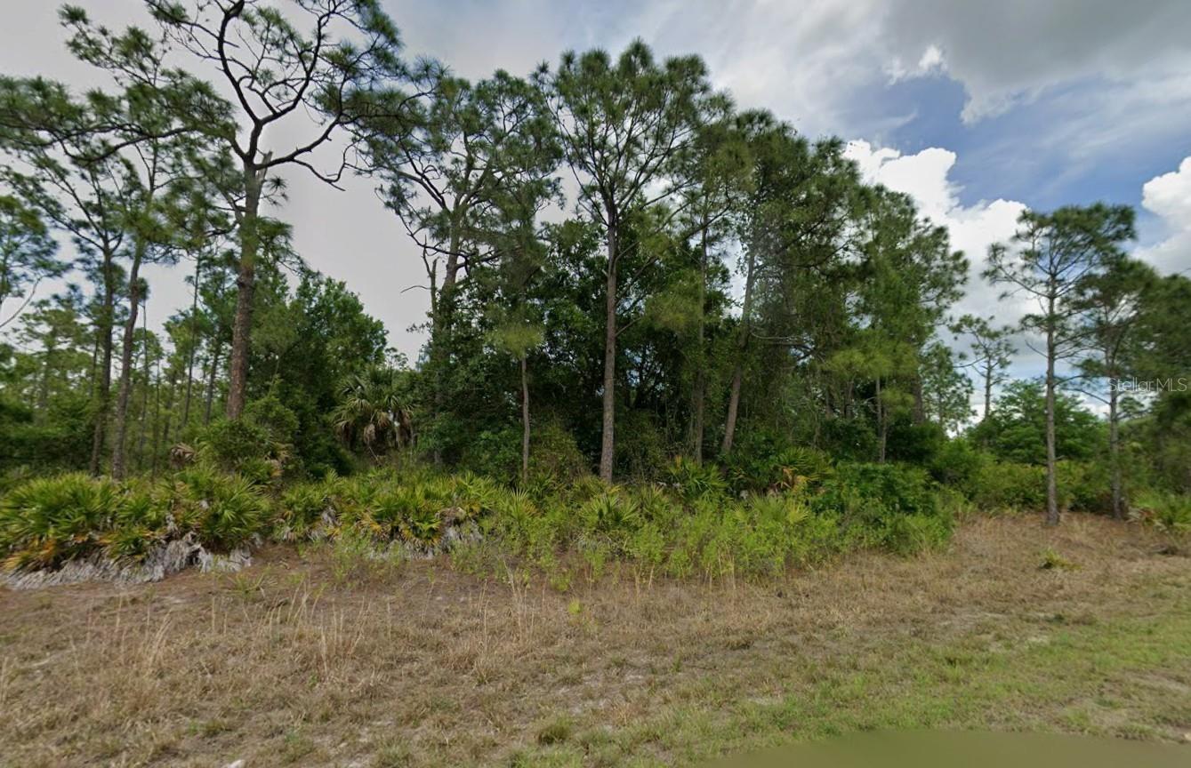 LOT 26 JULIANNA ST — photo 2