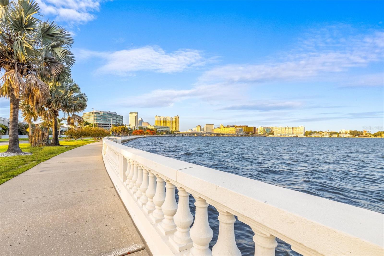 803 BAYSHORE BLVD — photo 76