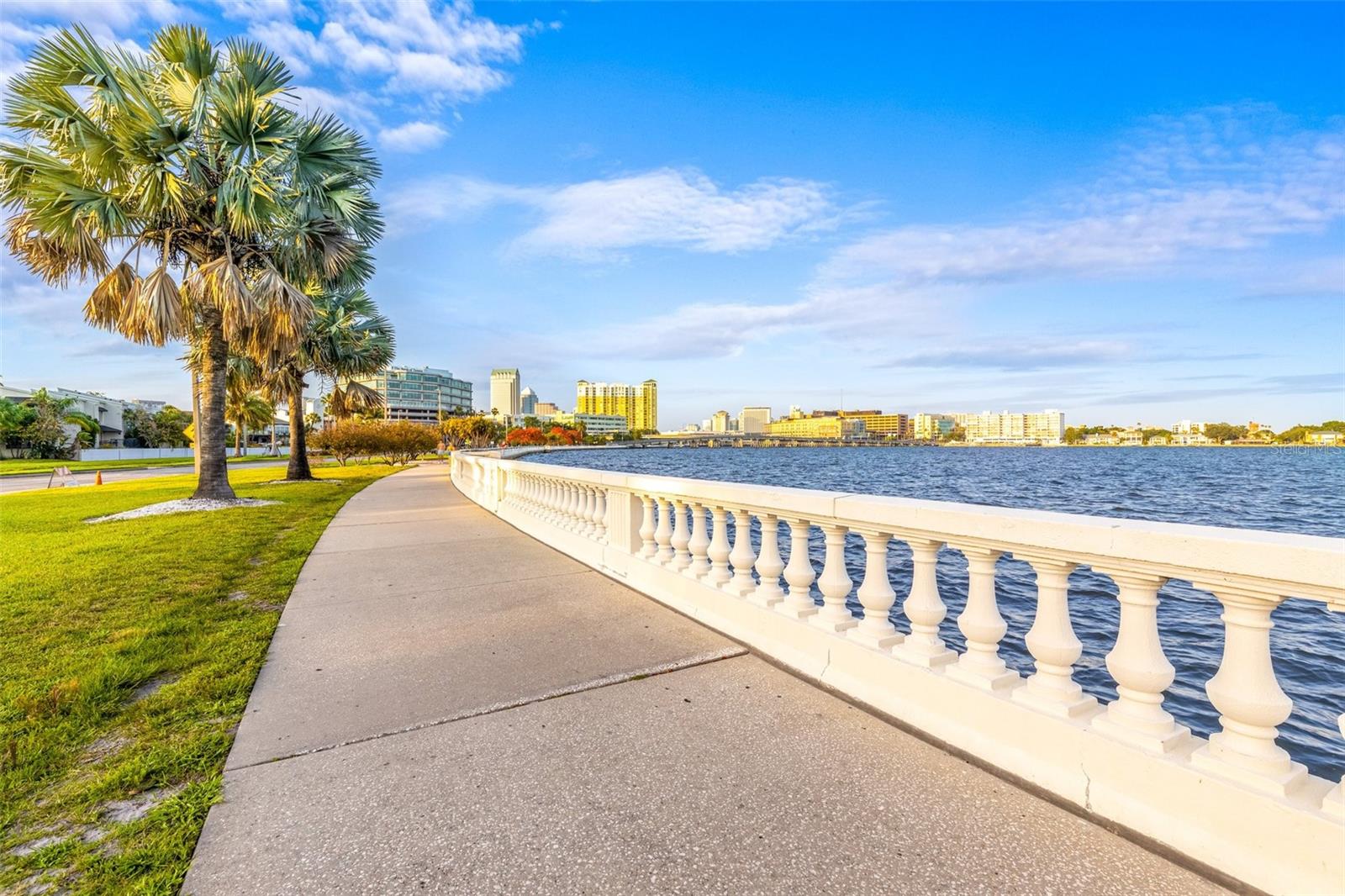 803 BAYSHORE BLVD — photo 75