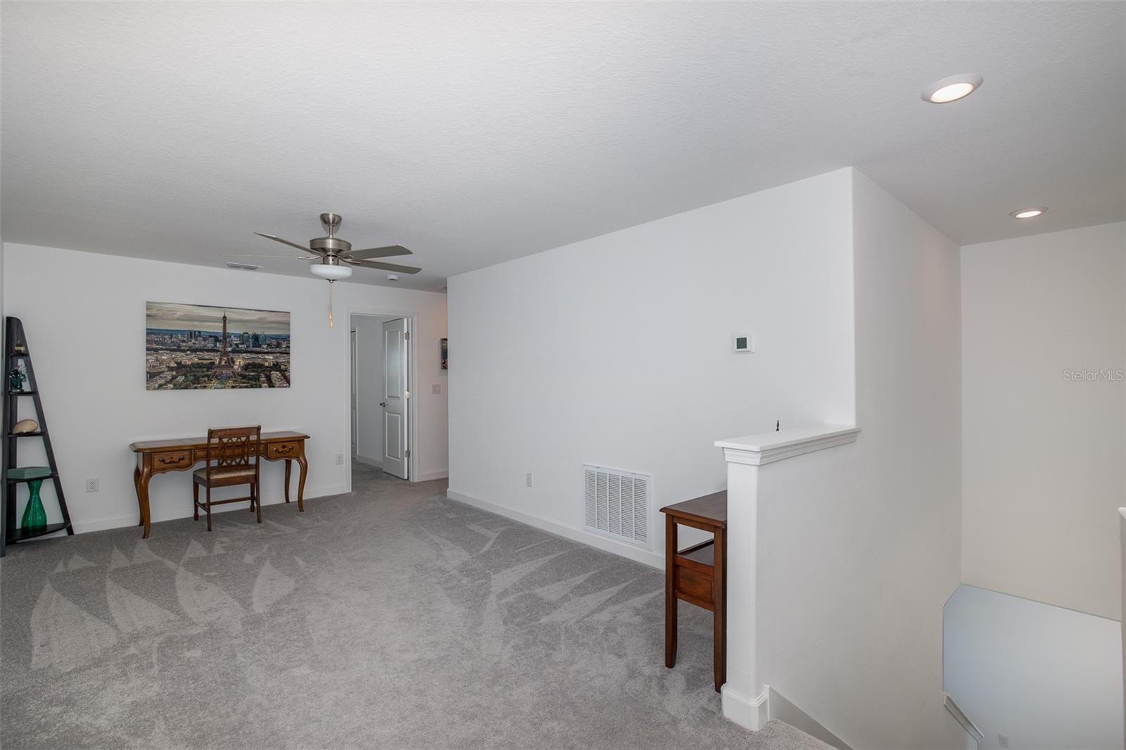 3072 HOVER HALL LN — photo 46