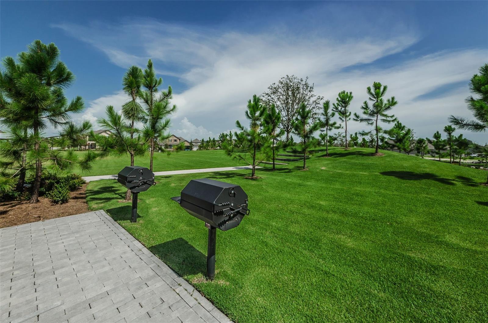 12610 RANGELAND BLVD — photo 60