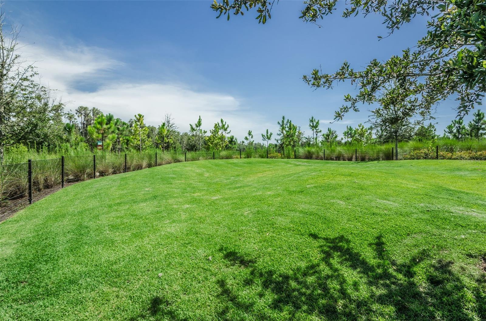 12610 RANGELAND BLVD — photo 62
