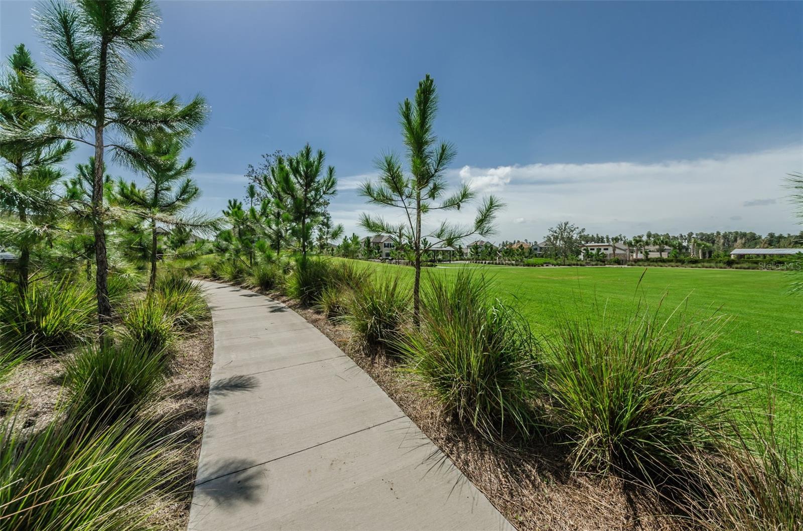 12610 RANGELAND BLVD — photo 74