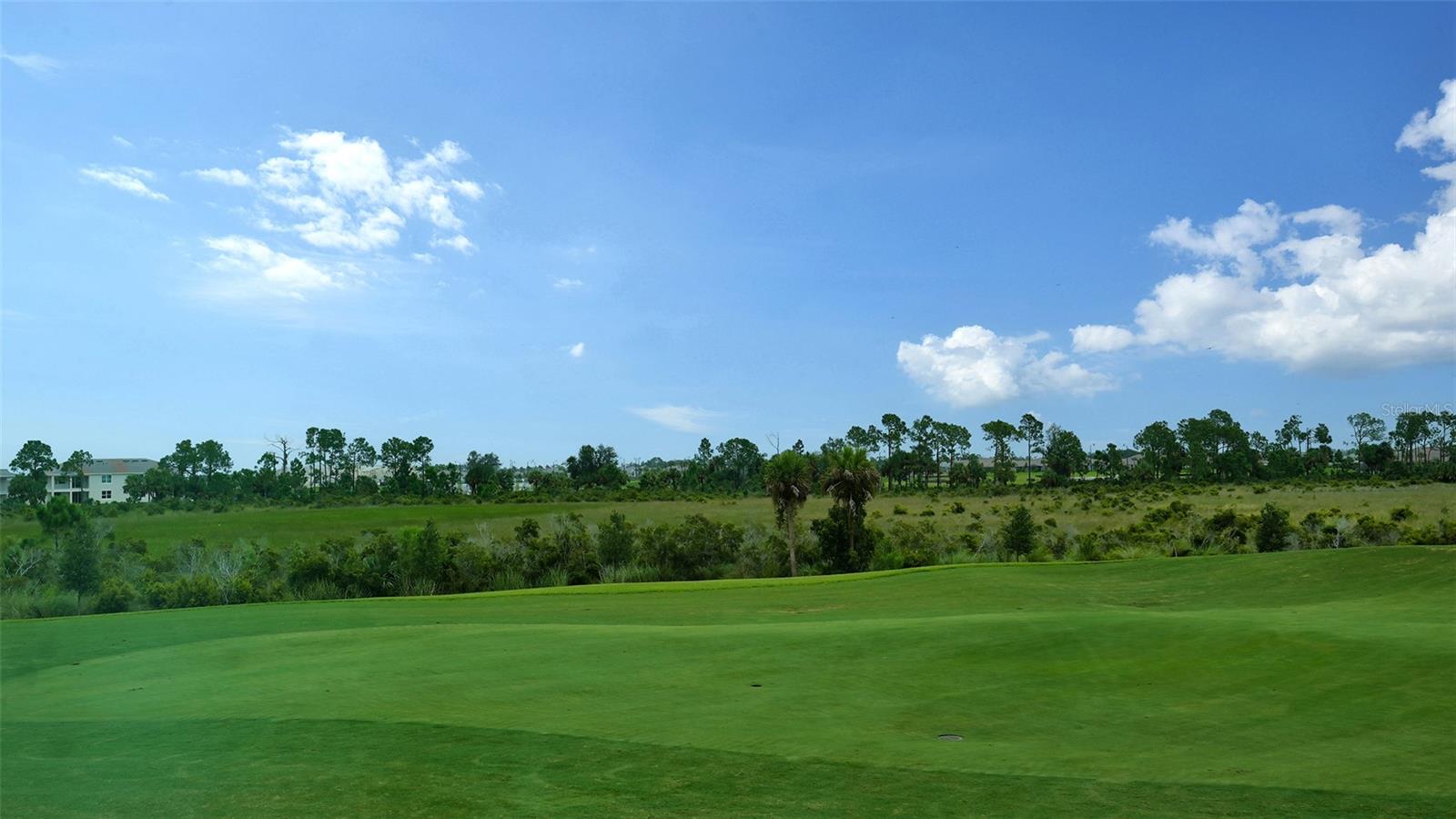 12550 GALAPAGOS CT #205 — photo 33