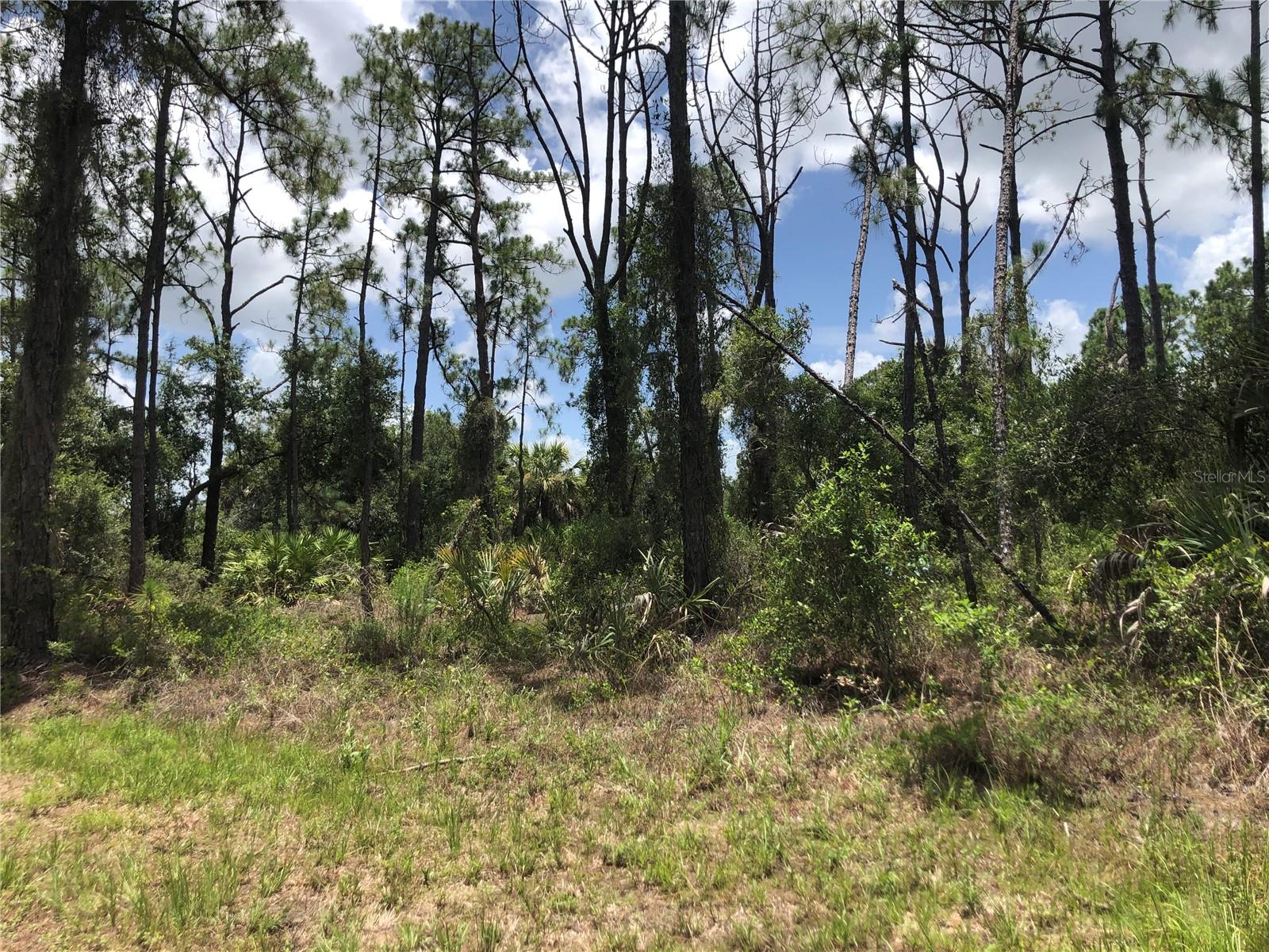 APRICOLA RD — photo 3