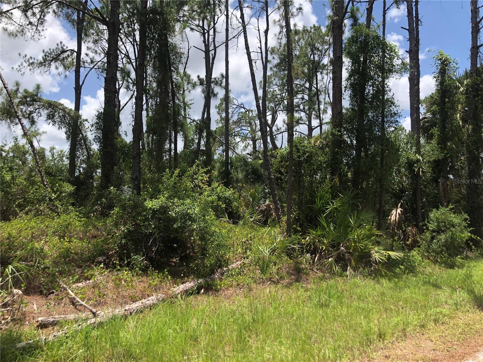 APRICOLA RD — photo 2