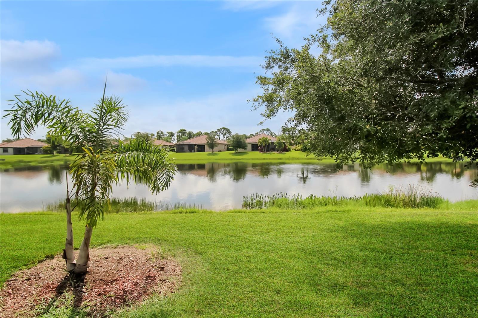 20230 TESORO DR — photo 46