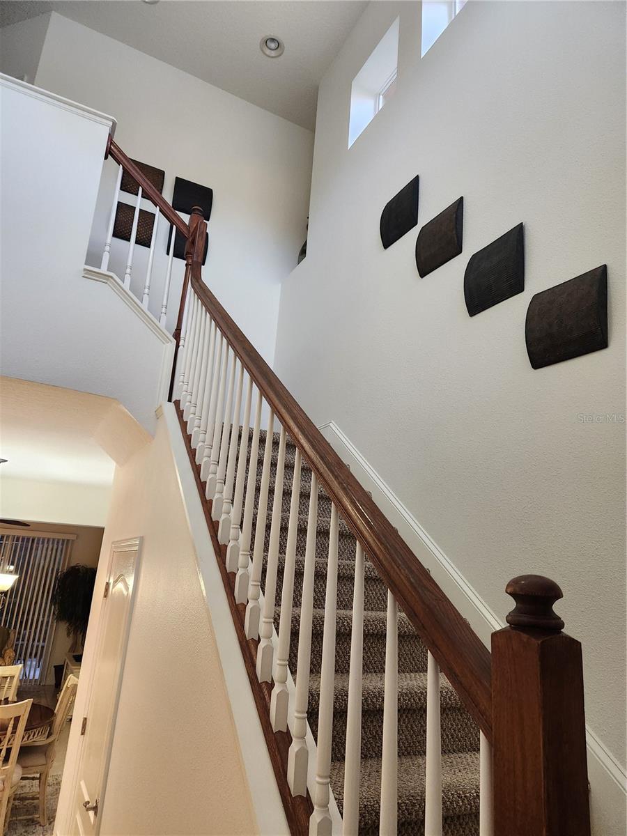 8119 VILLA GRANDE CT — photo 13
