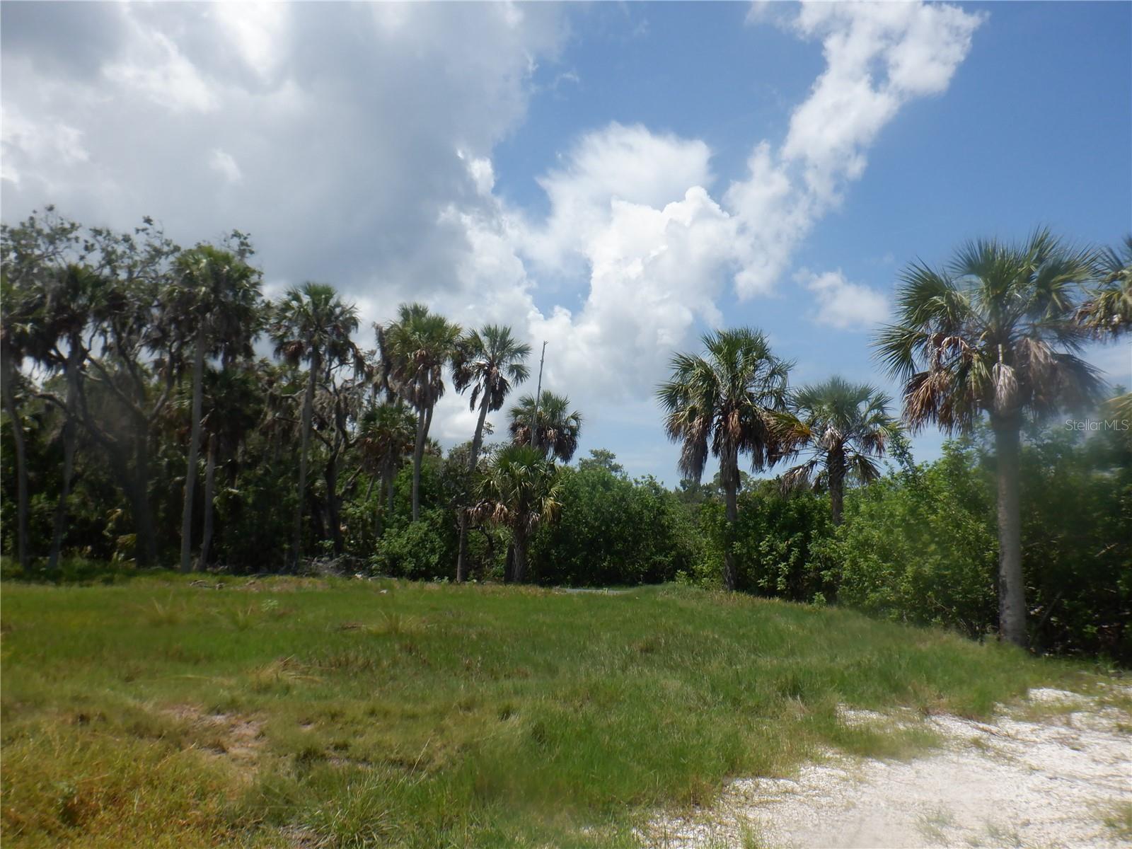 5350 KOONS DR — photo 6