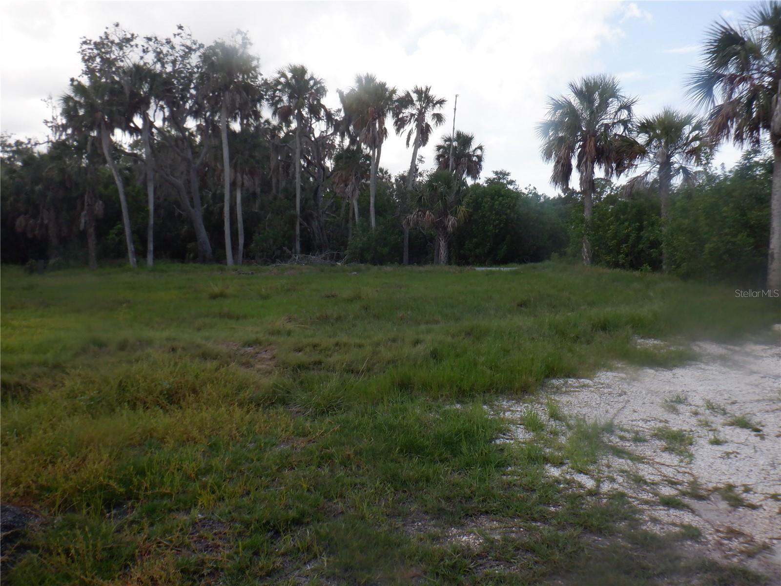 5350 KOONS DR — photo 11