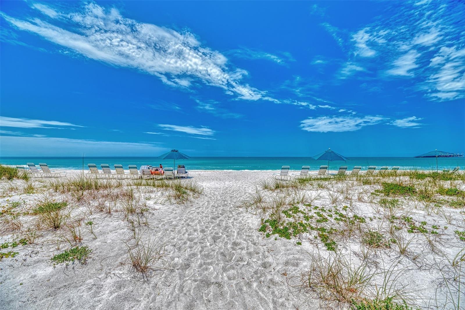 1945 GULF OF MEXICO DR #M2-414 — photo 56