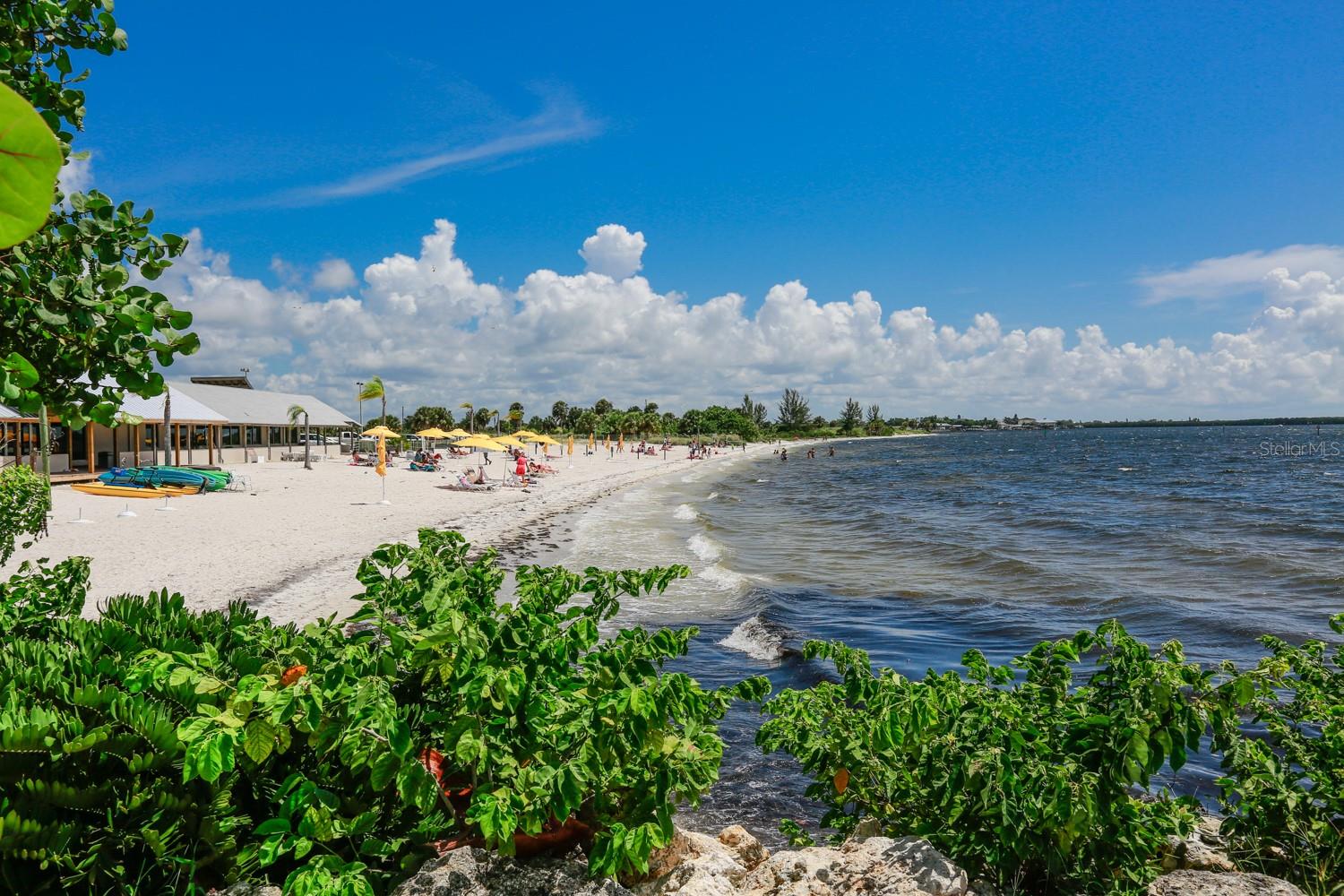 3226 MANGROVE POINT DR — photo 30