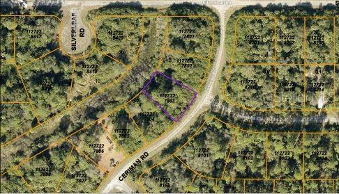 CERIMAN RD — photo 4
