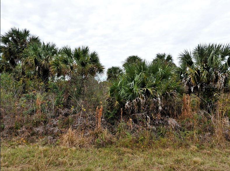 E FIVELEAF DR, — photo 2