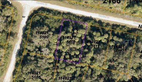 NEWMAN DR — photo 3