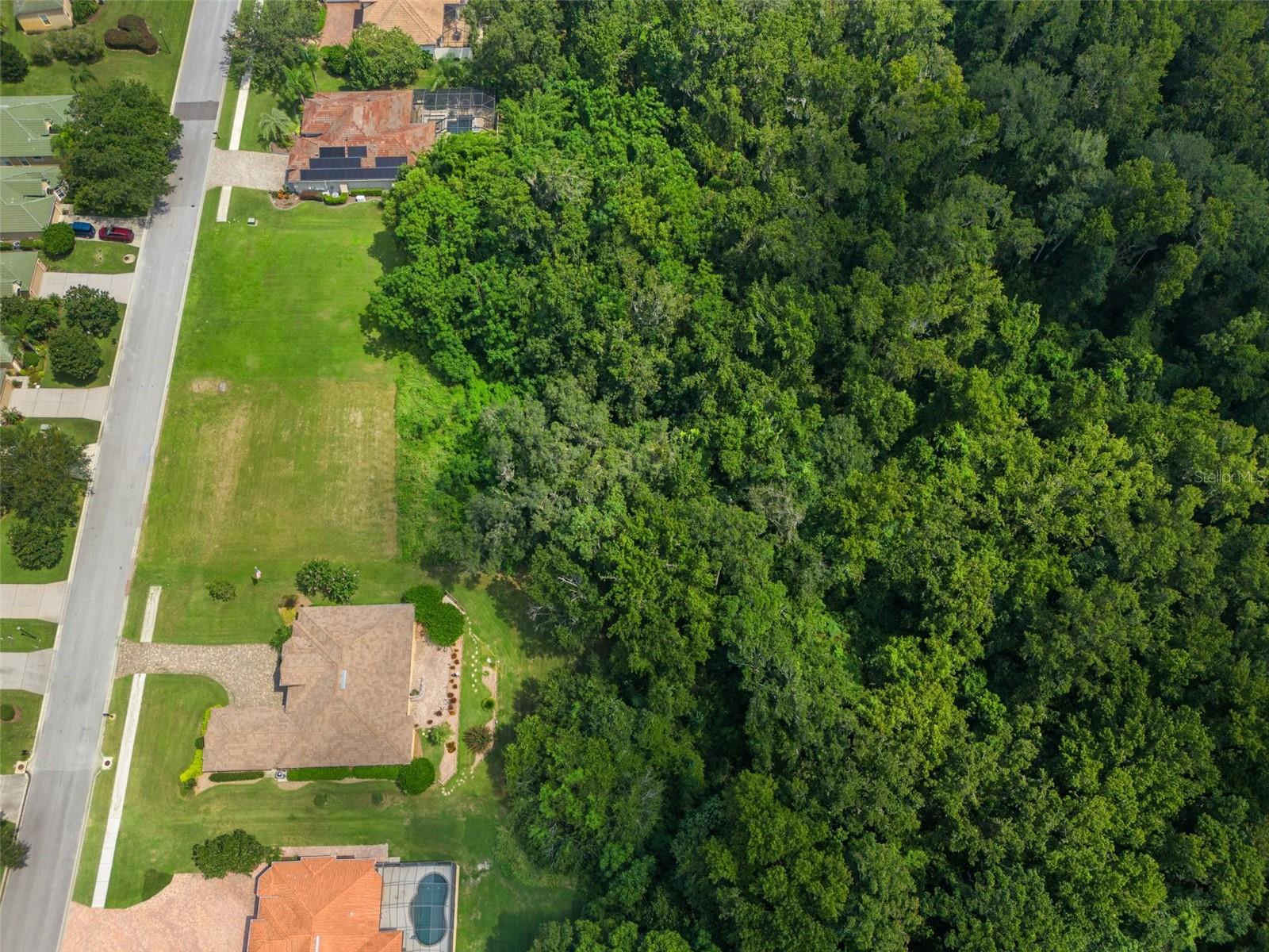 13208 TRADITION DR — photo 15